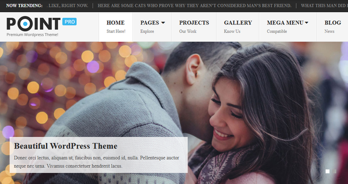 Point Pro Theme Review: Finest Option For Your Blog