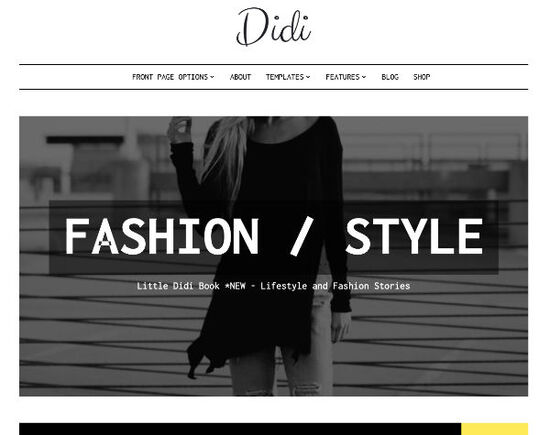 didi blog wordpress theme