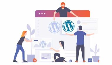 white label wordpress agency